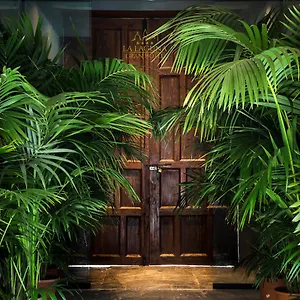 Hotel Gran ****