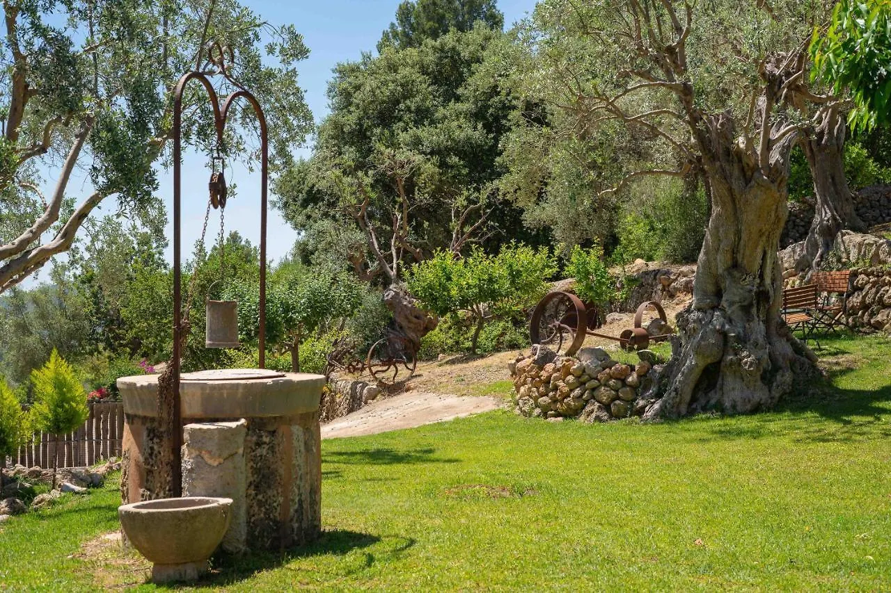 Hotel Rural S'Olivaret & Spa Alaro 4*,  Spain