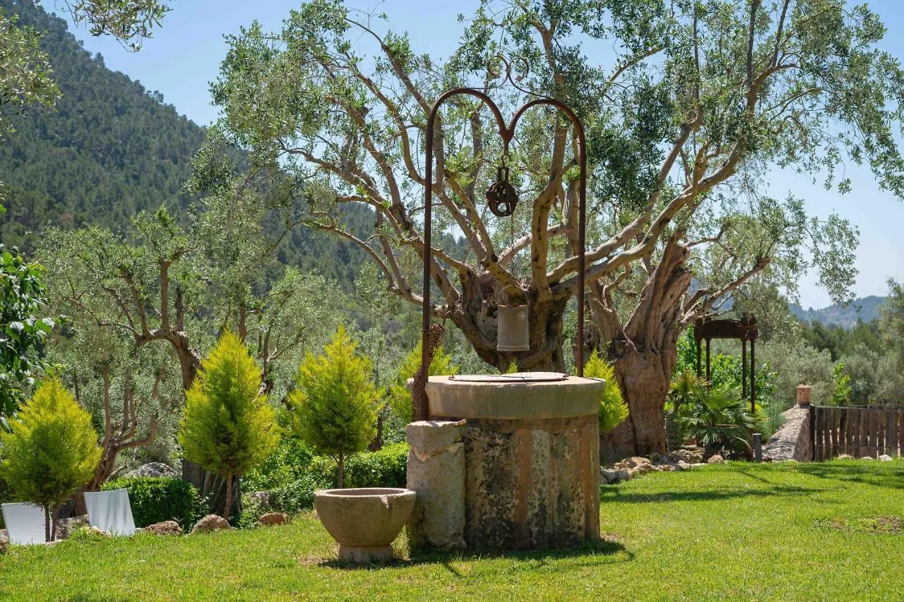 Hotel Rural S'Olivaret & Spa Alaro 4*,